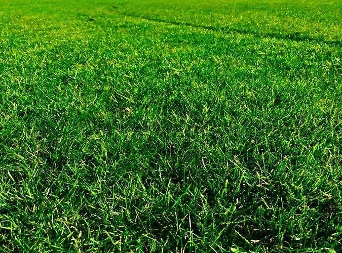 Deighton Country house York