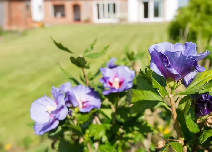 Country house Deighton