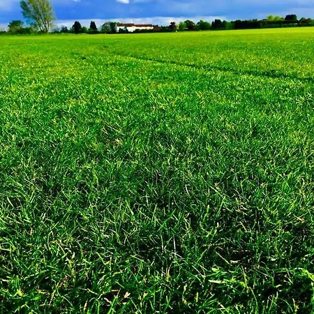 Deighton Casa de Campo York